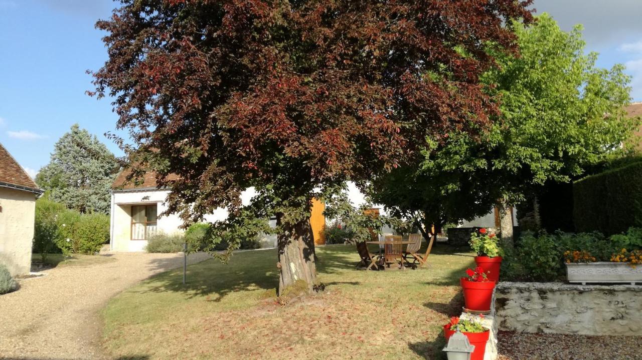 La Haute Traversiere Francueil Exterior foto