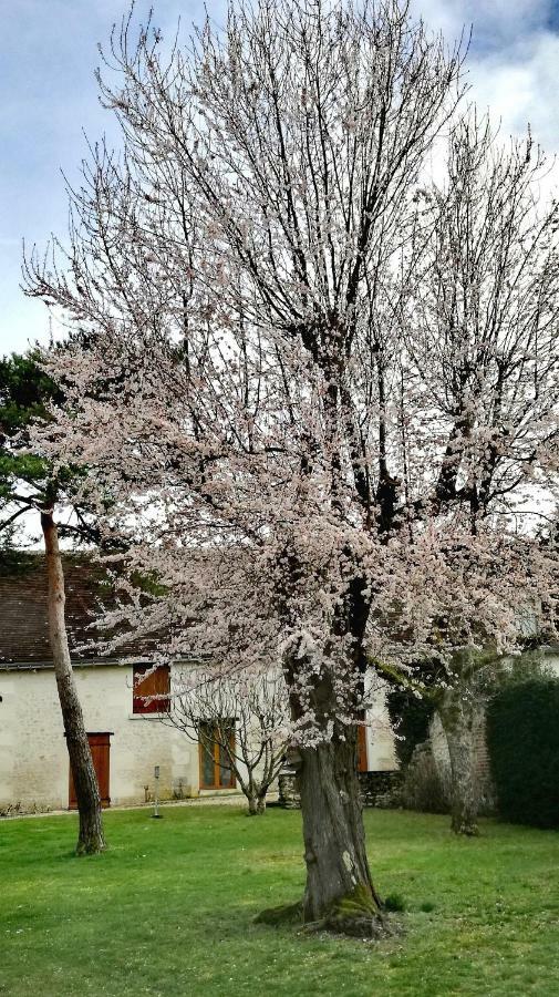 La Haute Traversiere Francueil Exterior foto